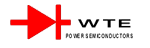 WTE[Won-Top Electronics]LOGO-ICW(wng)